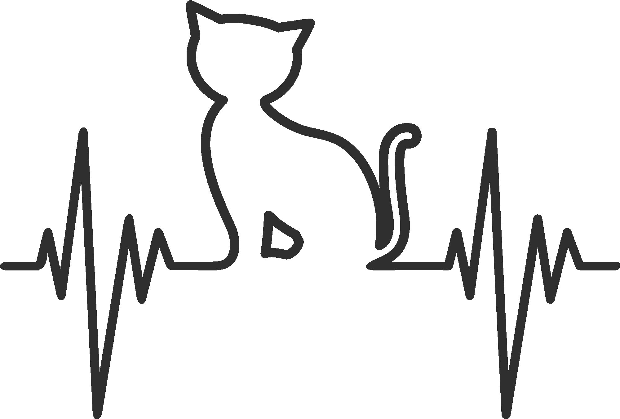 Cat Pulse
