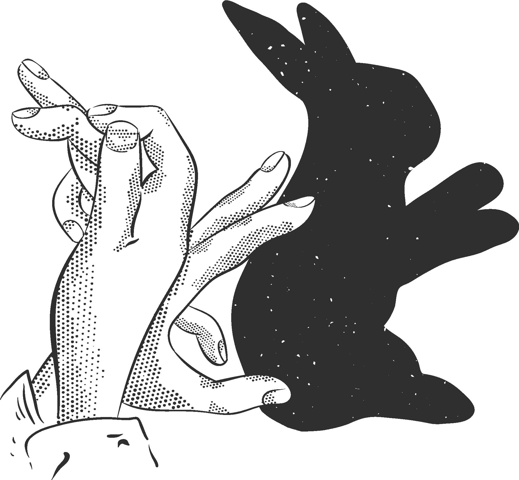 Rabbit Hand Shadow