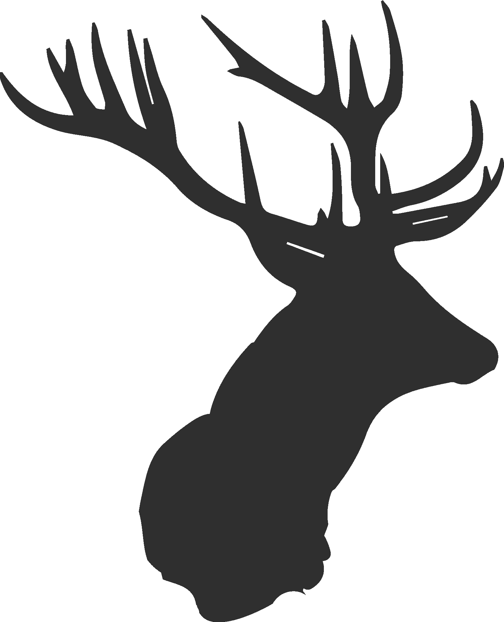 Majestic Deer Head