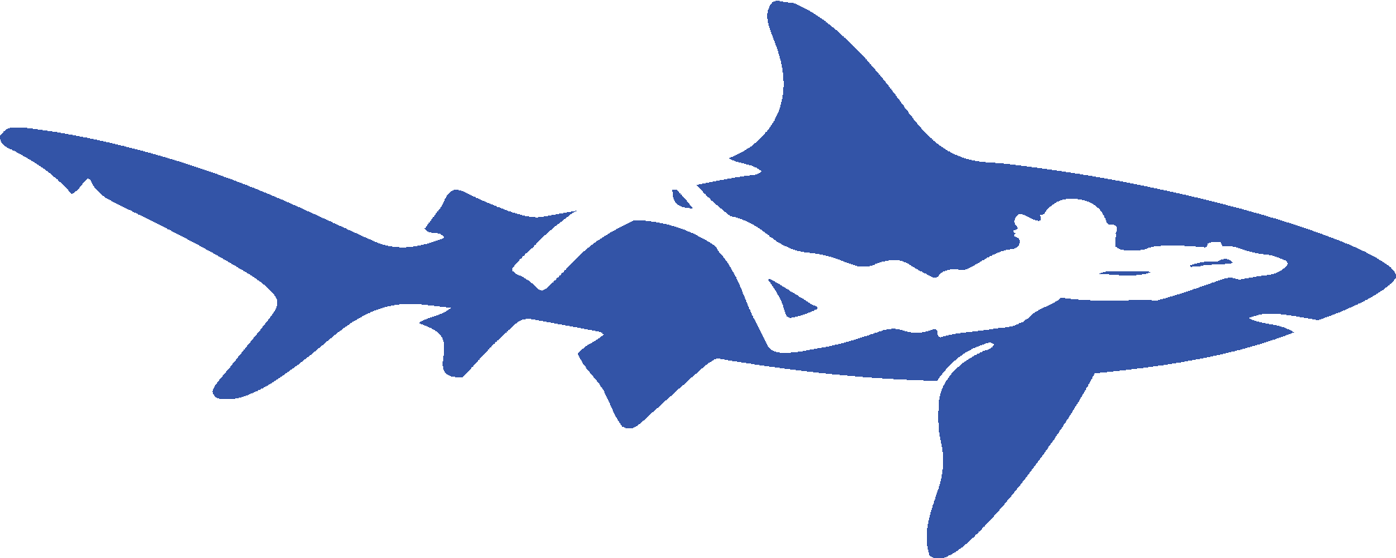 Shark vs. Diver