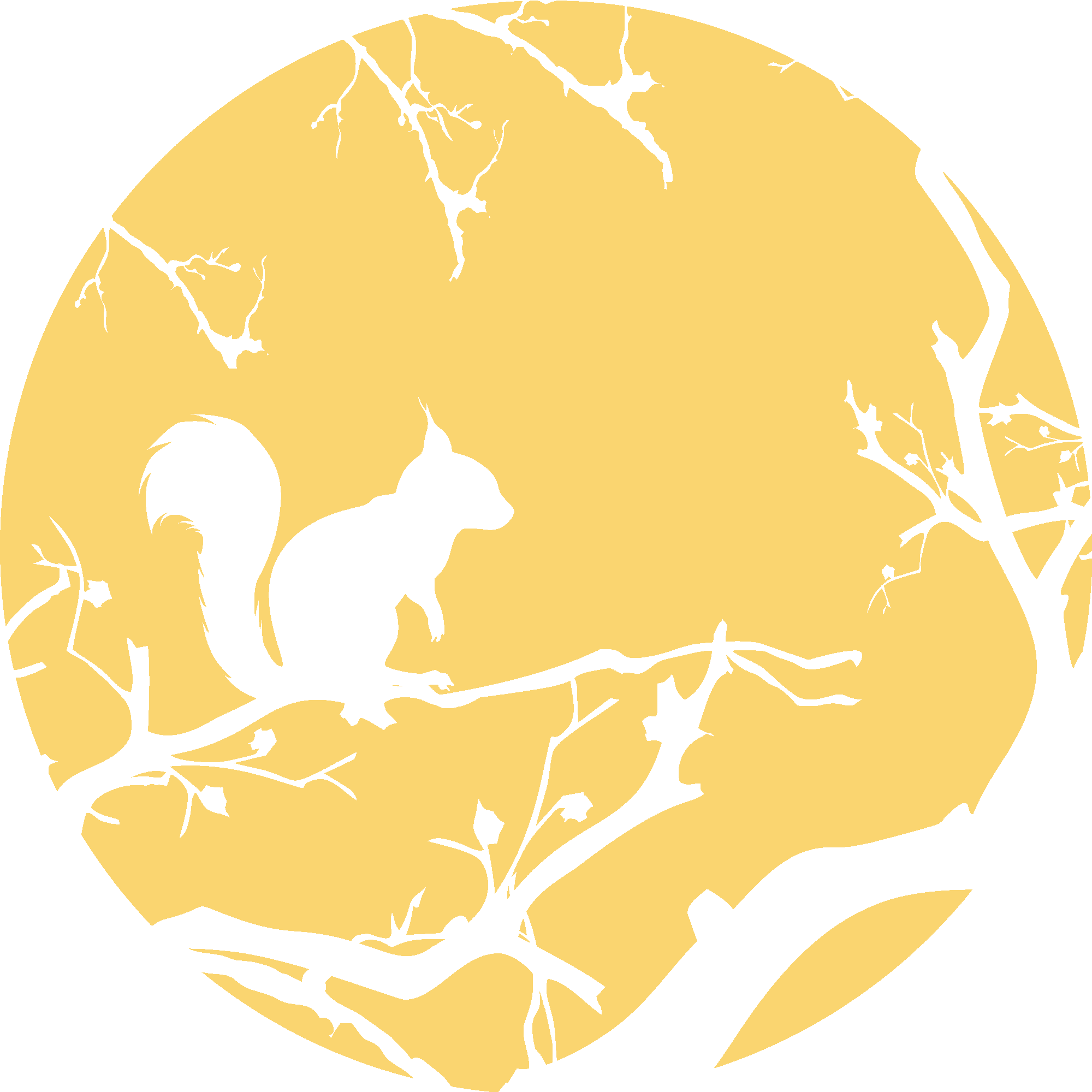 Squirrel And Branches Silhouette