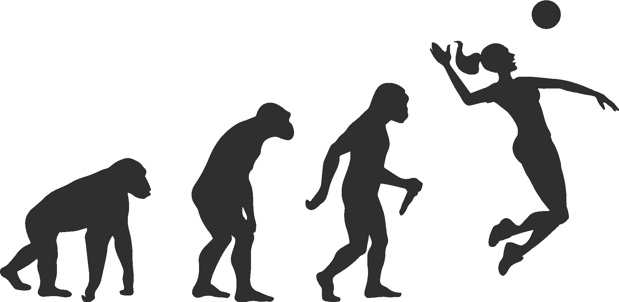 Volleyball Evolution Woman