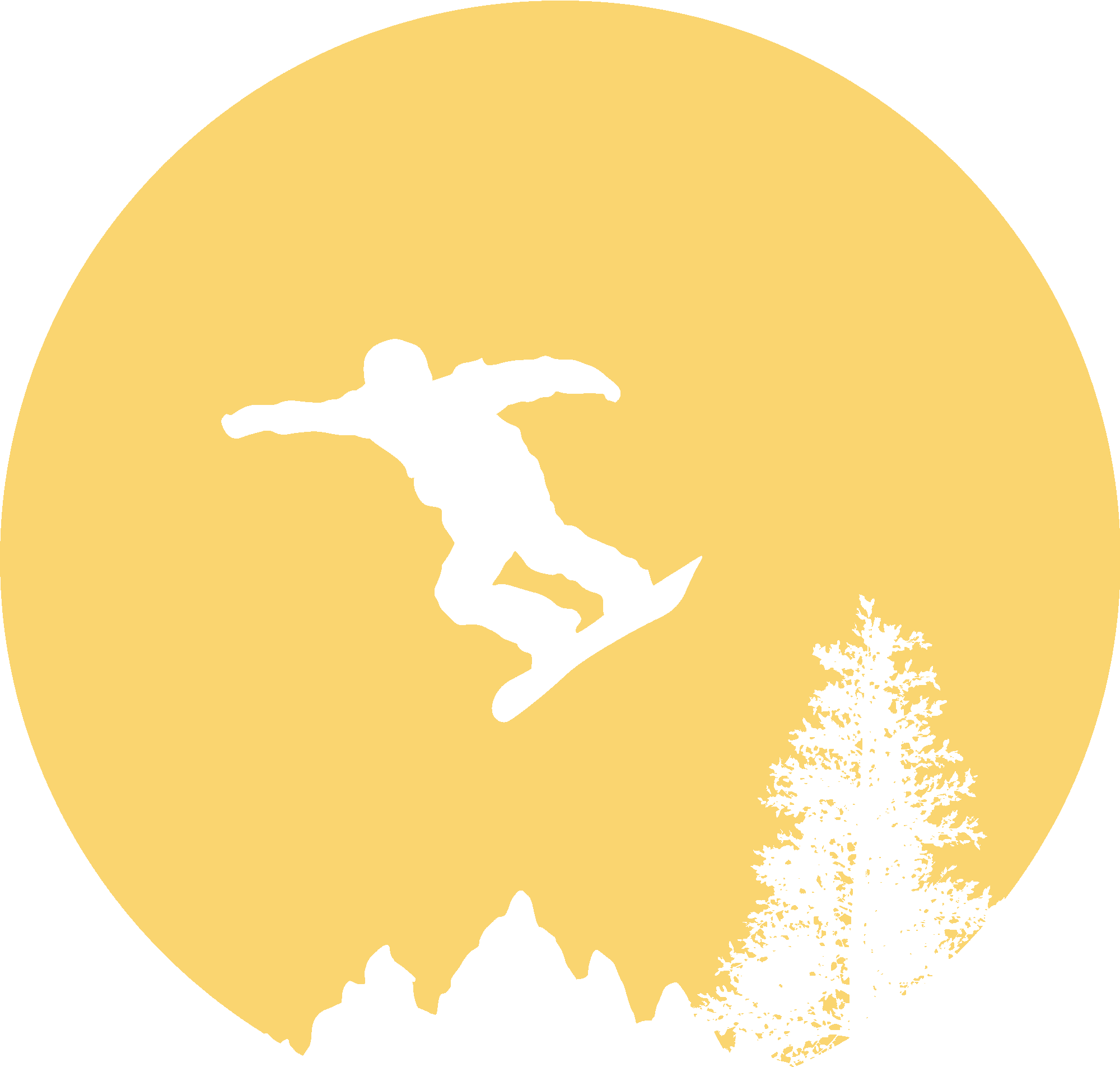 Snowboarder in Moonlight