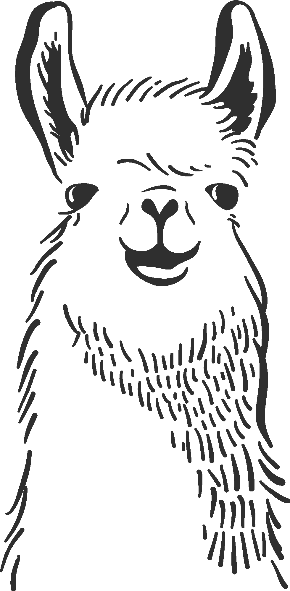 Llama Line Illustration