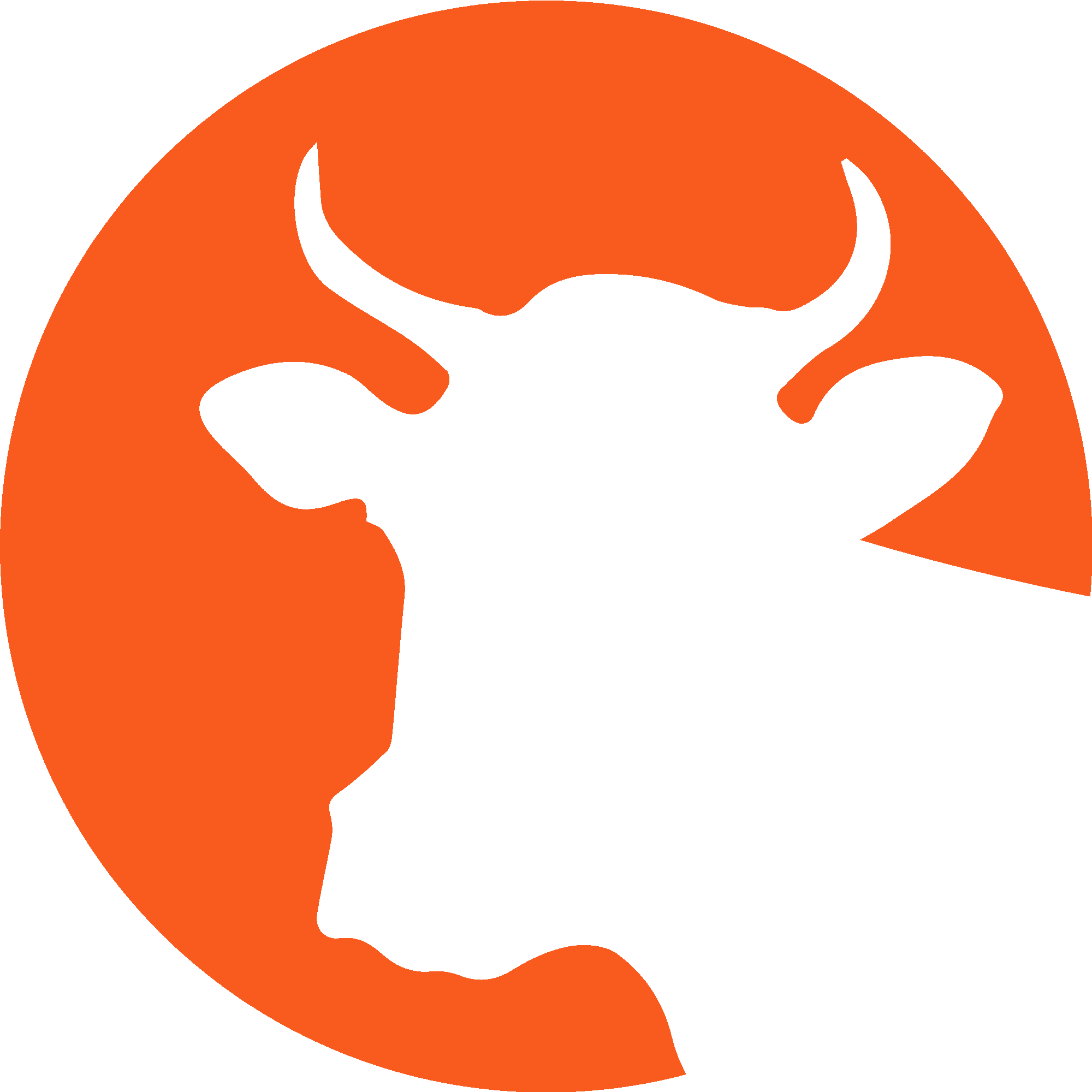 Cow Head in the Moonshine
