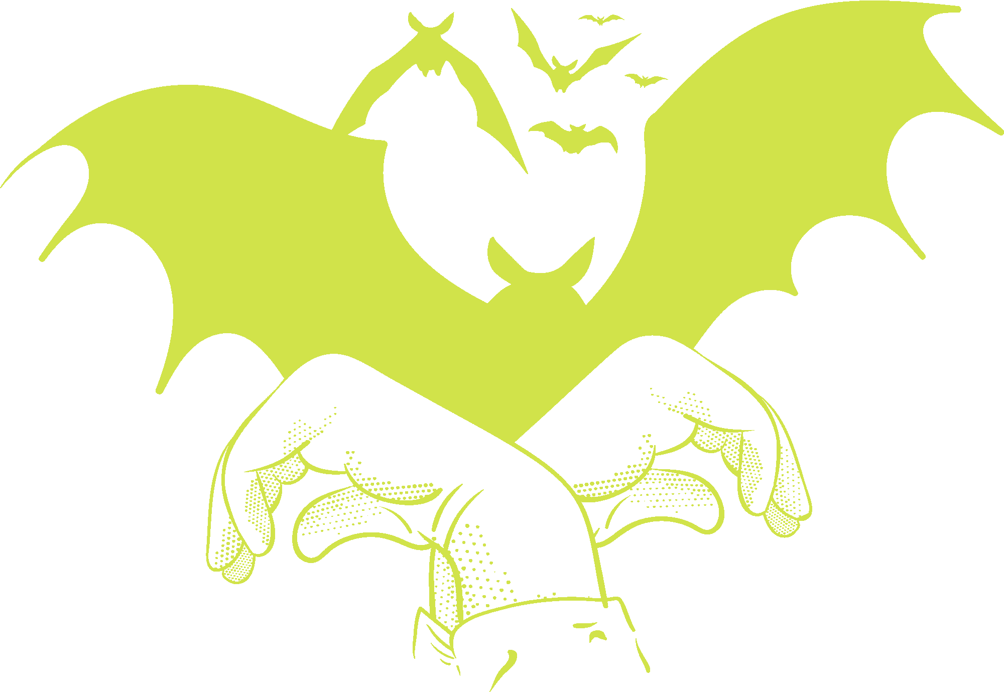 Bats Hand Shadow