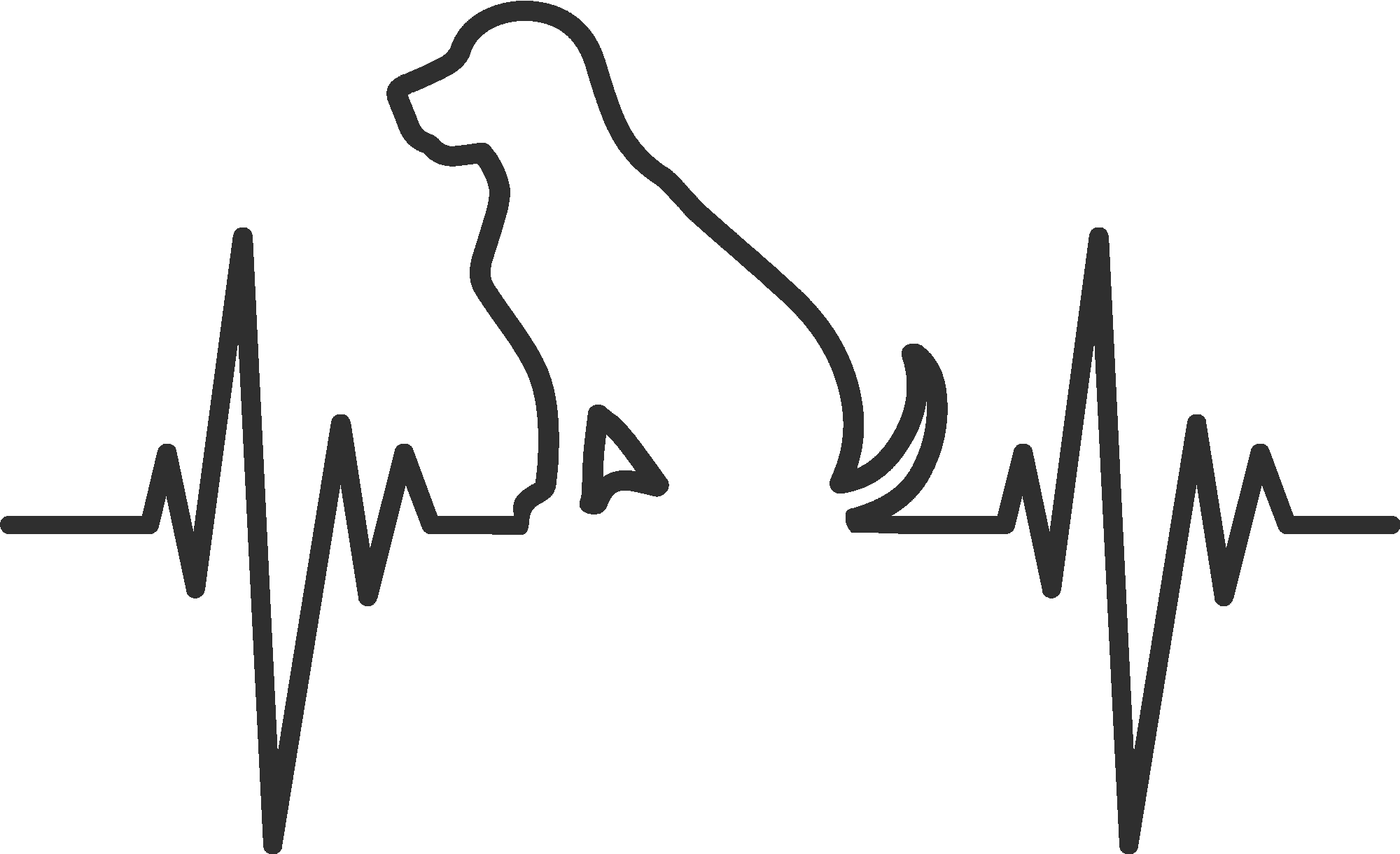Dog Pulse