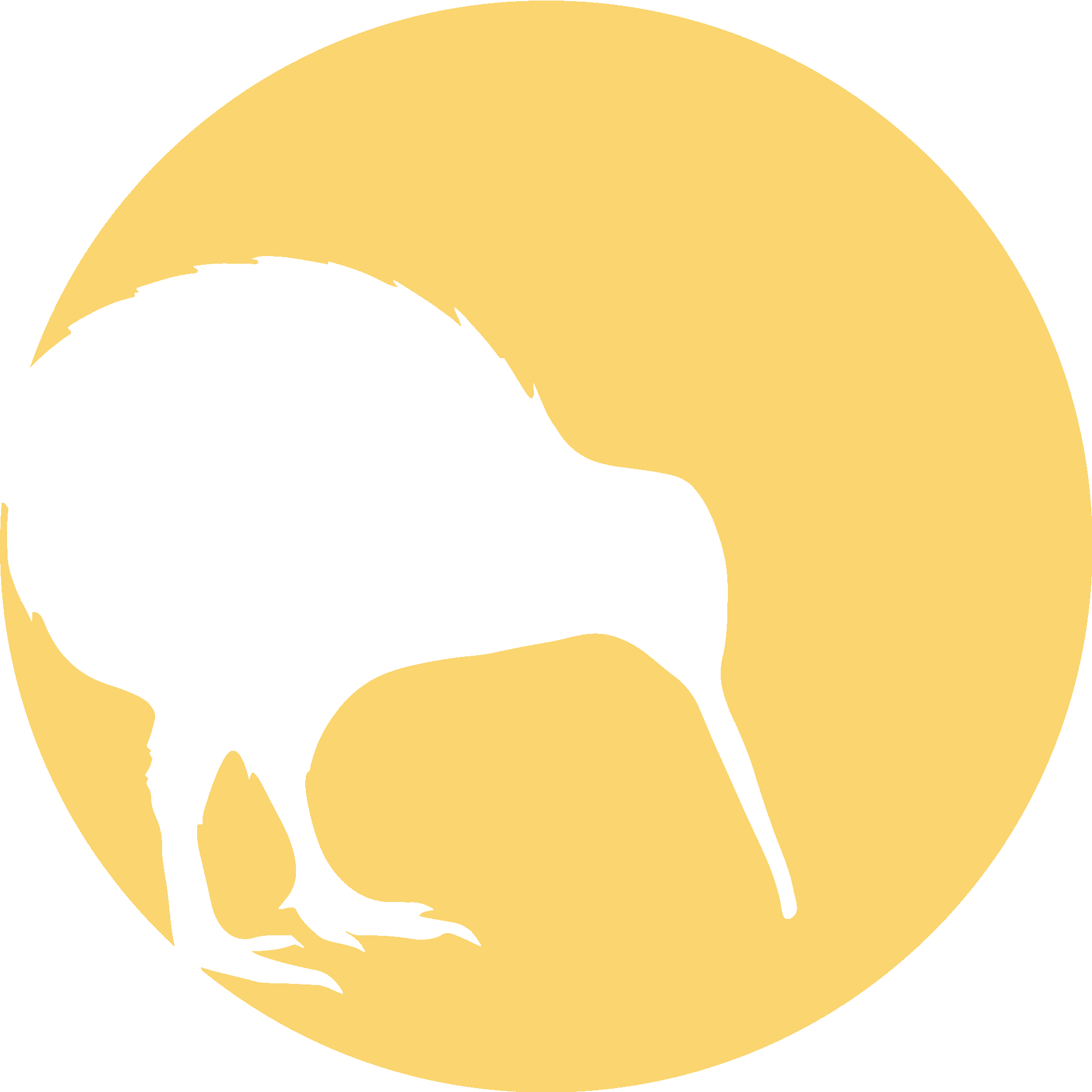 Kiwi Bird In The Moonlight