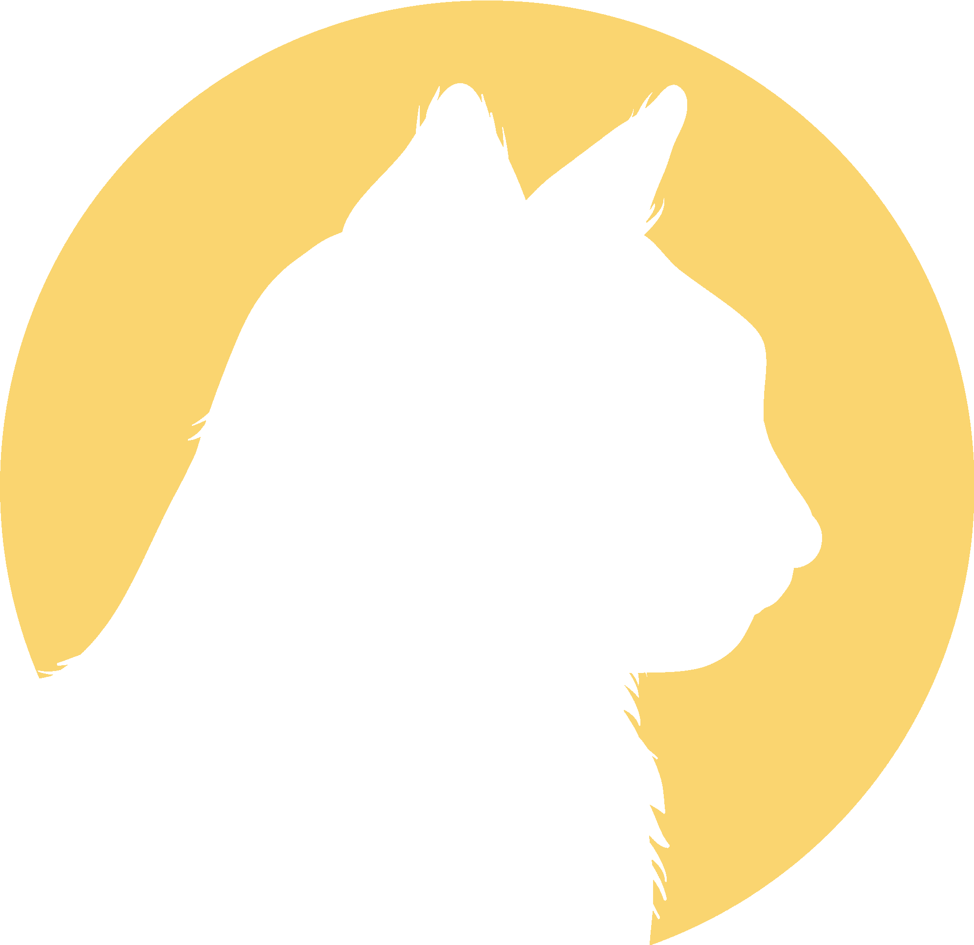 Cat Head In Moonlight
