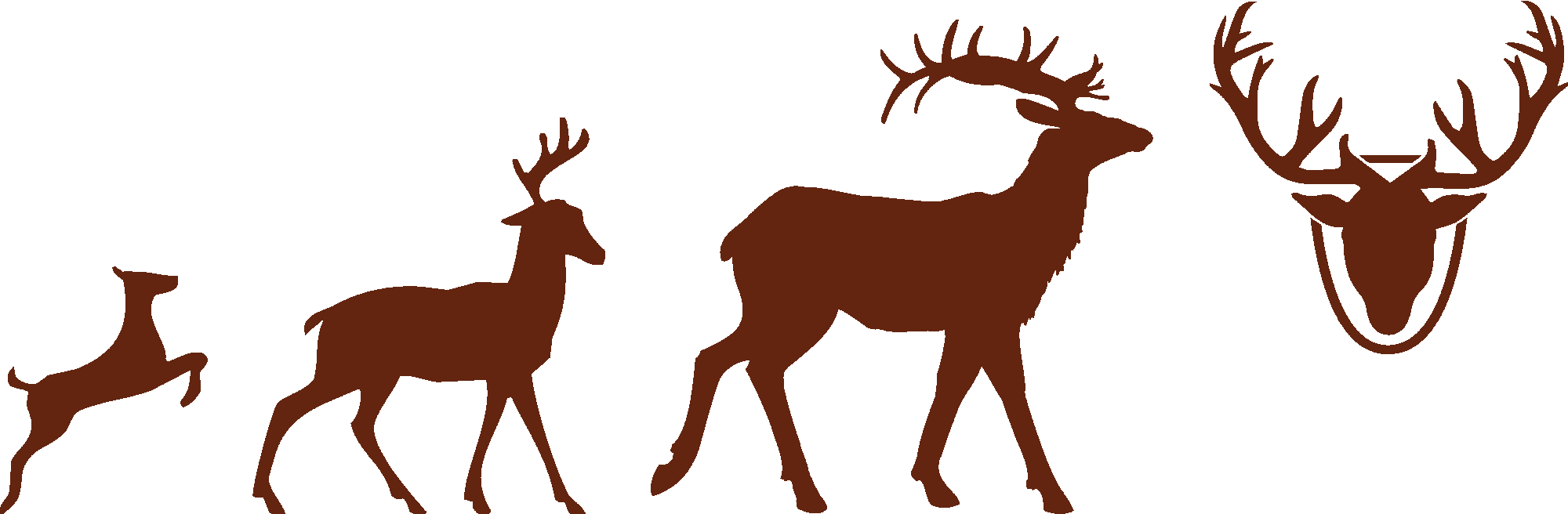 Evolution Of Deer To Antlers