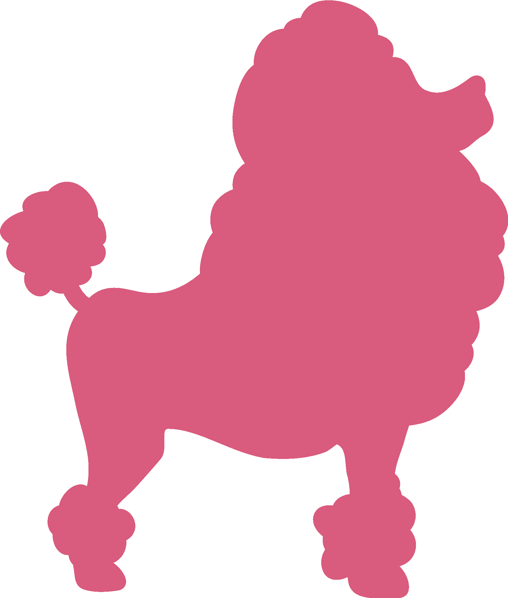 Poodle Dog