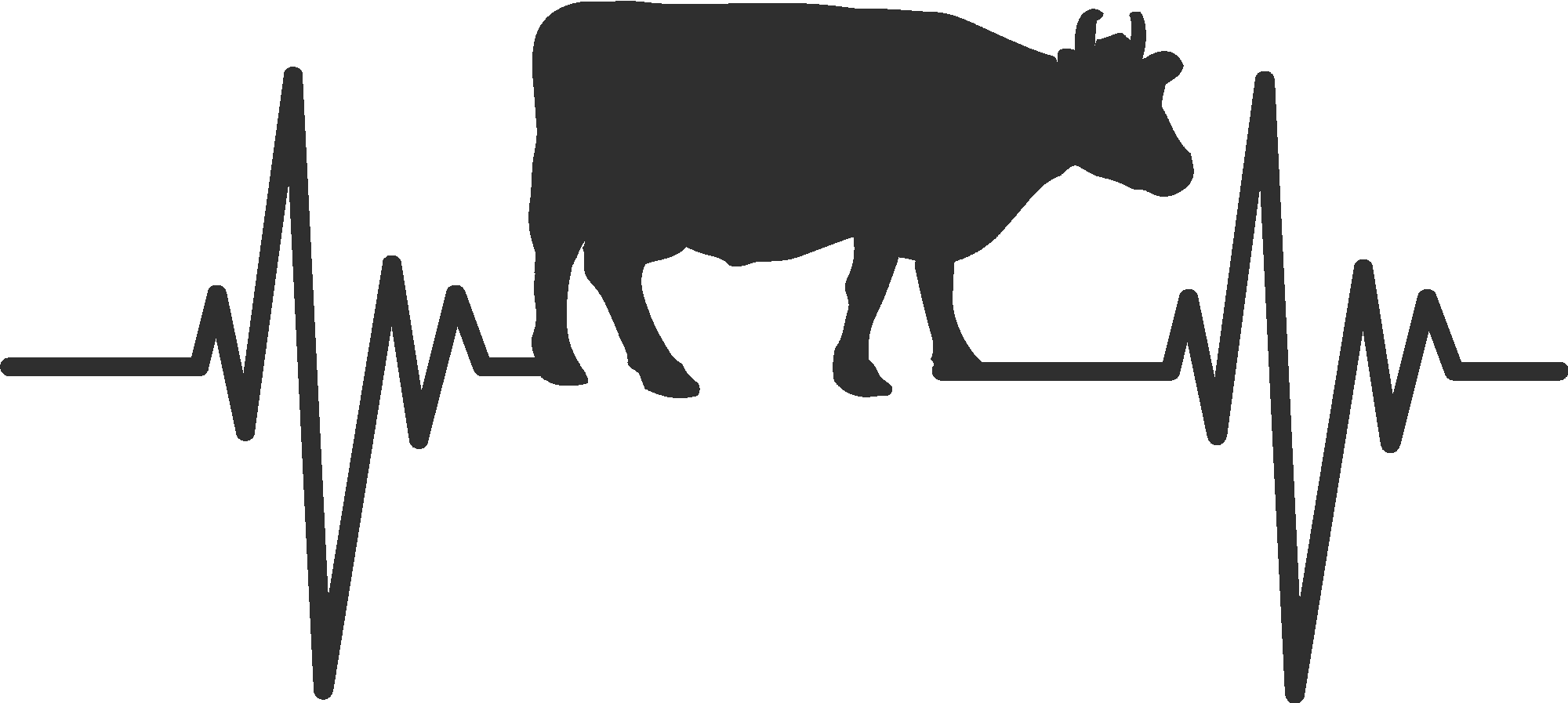 Cow Pulse