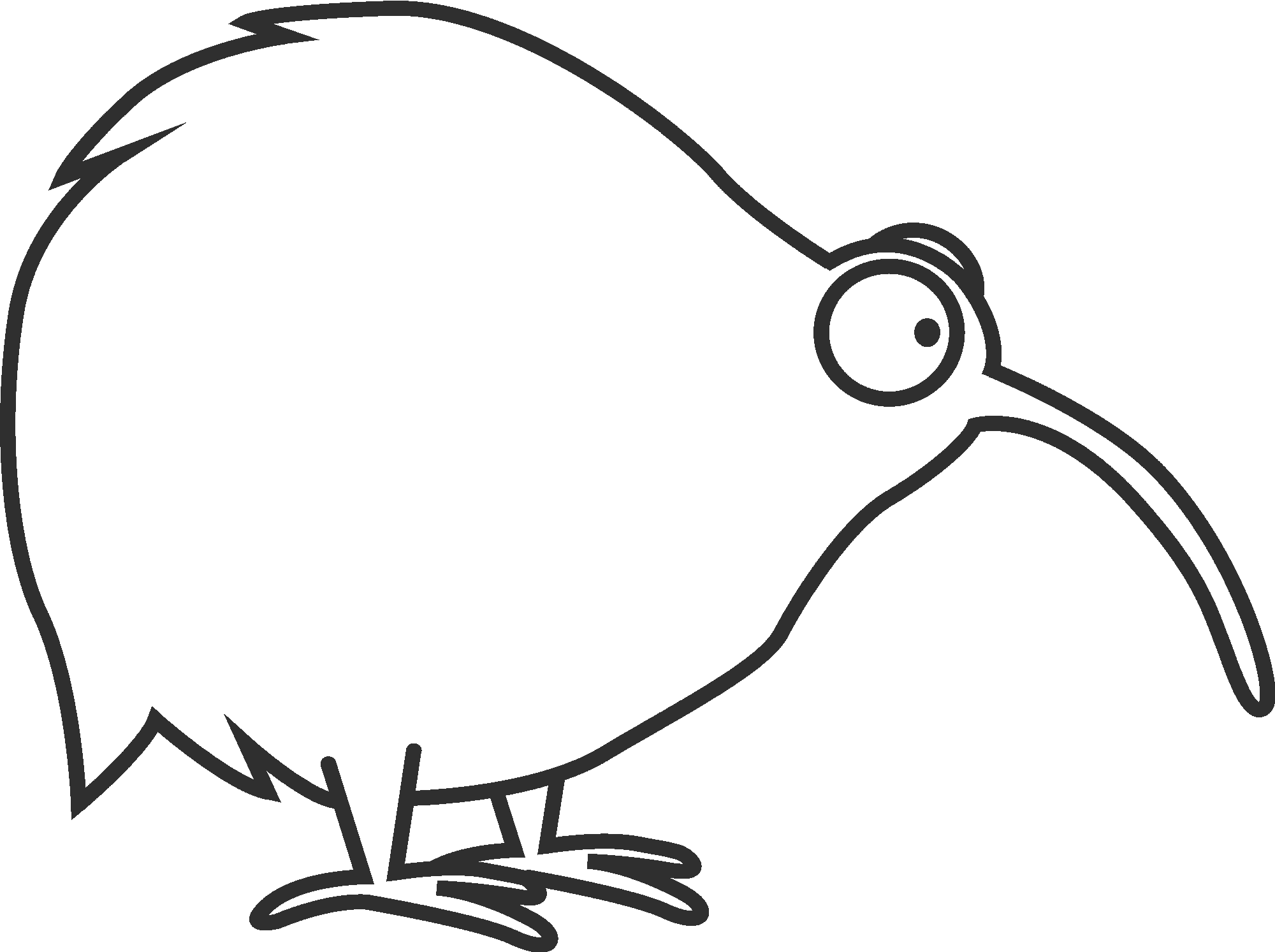 Kiwi Bird Outline
