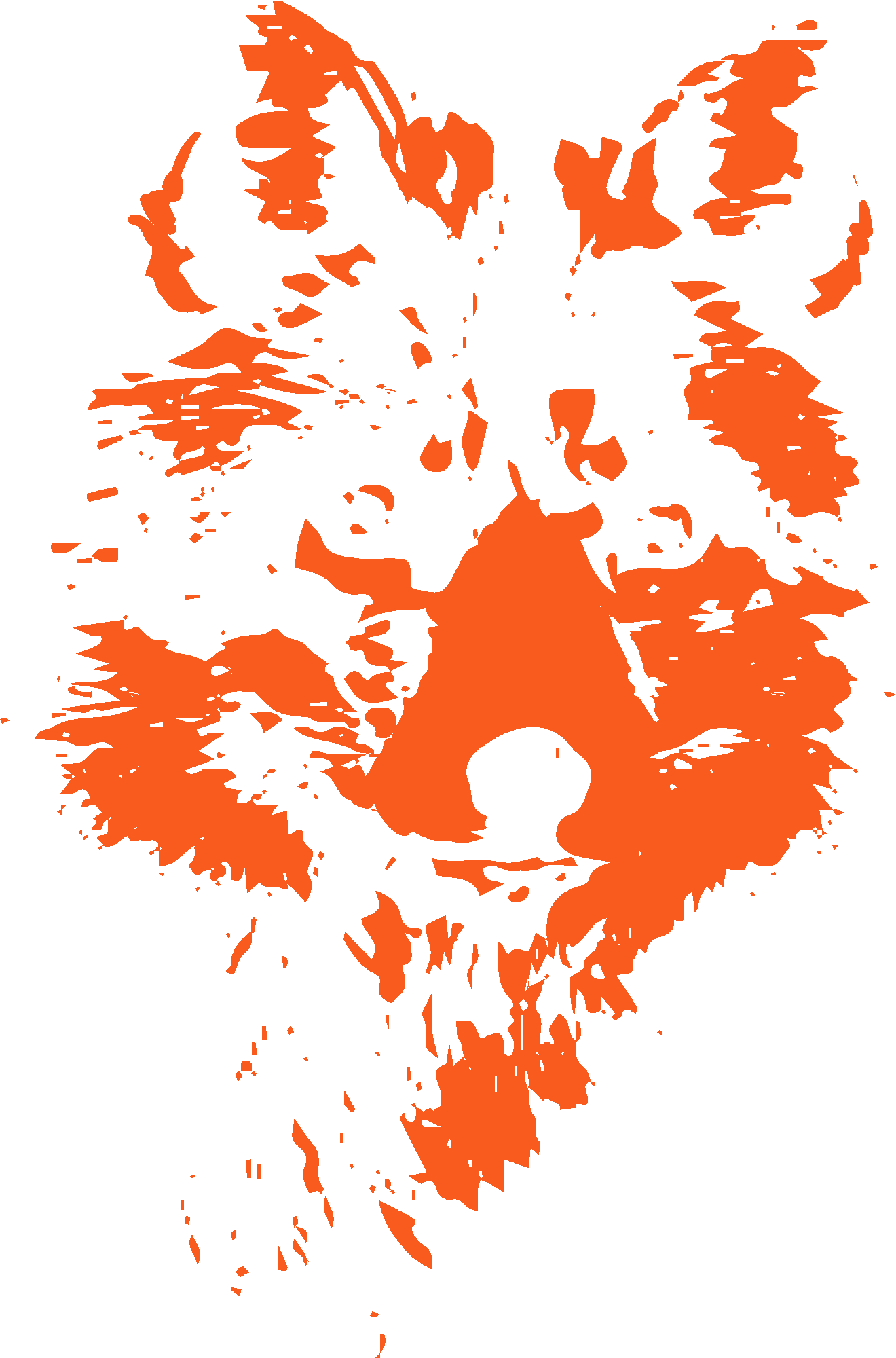 Fox Face