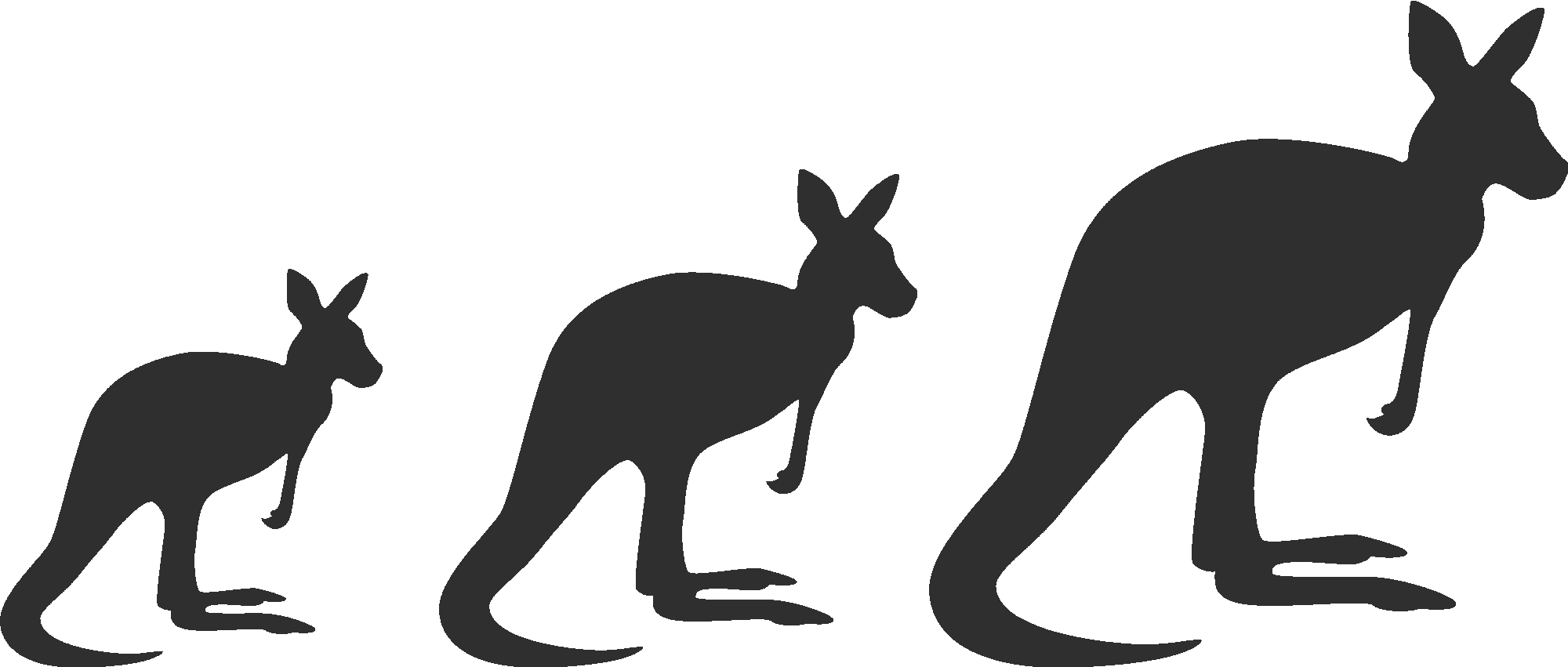 Kangaroos Silhouette
