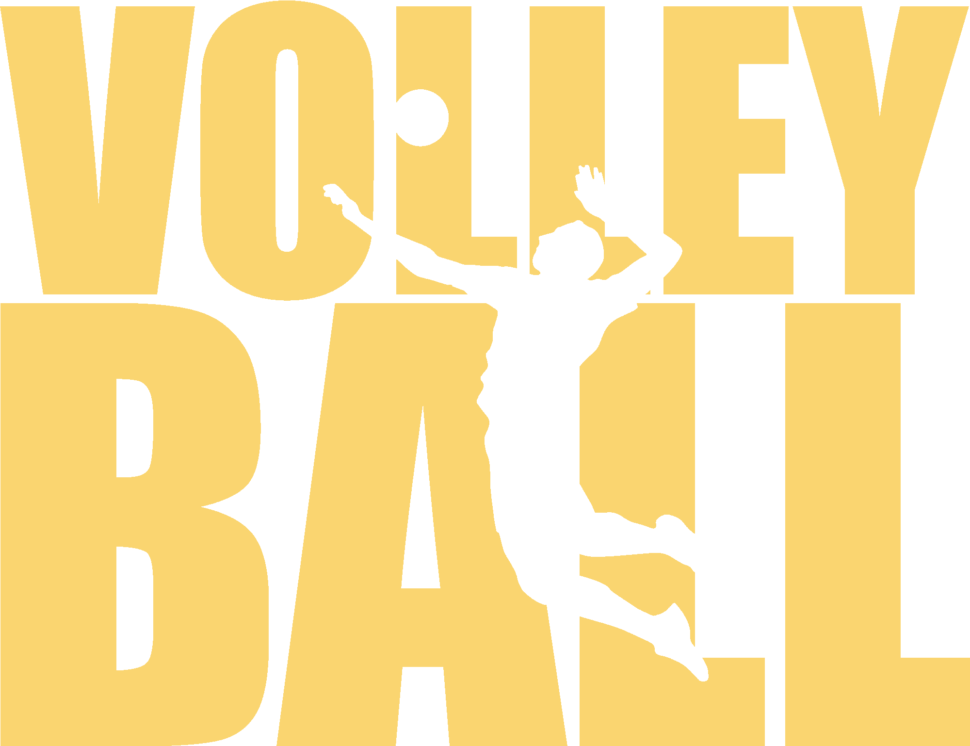 Volleyball With Silhouette